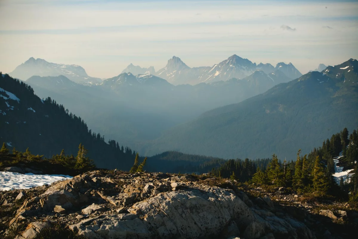 sprowadzić samochód profesjonalnie?
