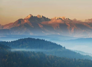 Czy można Oddać elektrośmiecie w Katowicach samemu?