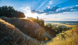 Jak przygotować sprawozdanie NWIS krok po kroku: wymogi, najczęstsze błędy i sprawdzone szablony do pobrania