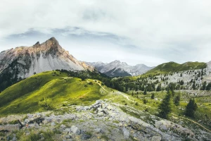 Jak dobrać perfumę do osobowości i okazji — poradnik zakupowy