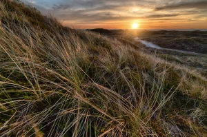 Klimatyzacja Piaseczno: przewodnik wyboru, montażu i serwisu lokalnych firm, aktualne ceny, dofinansowania i opinie mieszkańców.